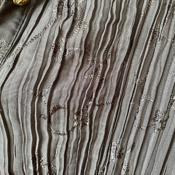 Vintage Pleated Sheer Blouse - Picture 5 of 6